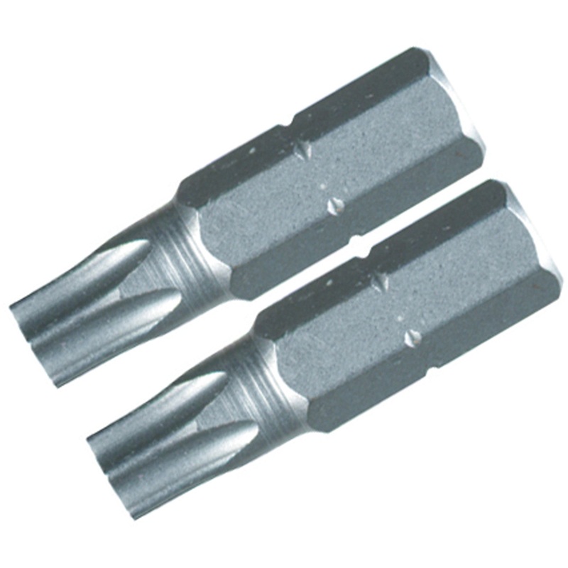 Torx Bit T25 - 25mm - 2 Pack