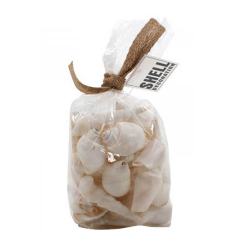 Faro mlange des coquilles de mer dans la pochette Ipp